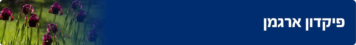 280 7880297300 Pikadon Argaman