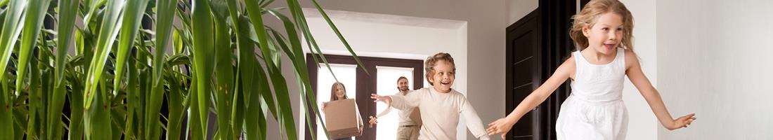 בקשה למשכנתא בדיגיטל