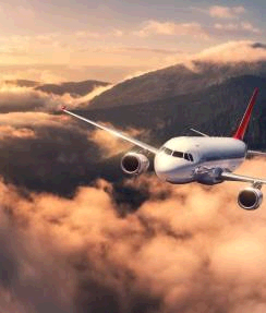 244 287 Plane