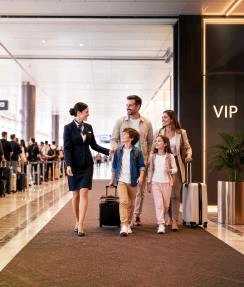 VIP 244X287 (1)