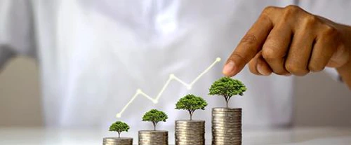 280 4743507914 Banner Pikdon Eitan2